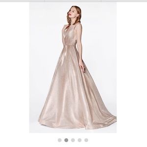 NWT Champagne blush deep V ball gown